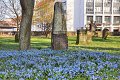 Fruehling2012   030